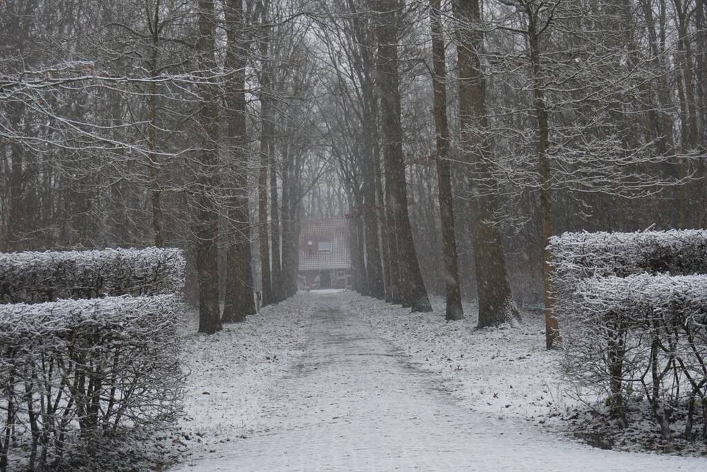 Eerste sneeuwvlokken in provincie Zeeland