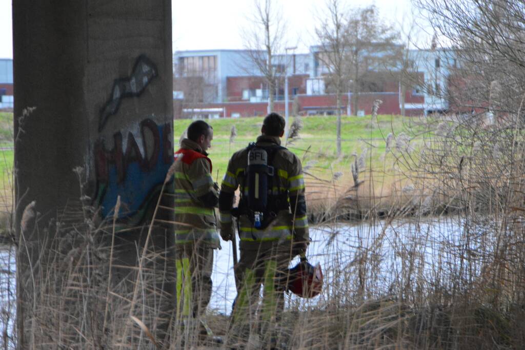 Riet in brand