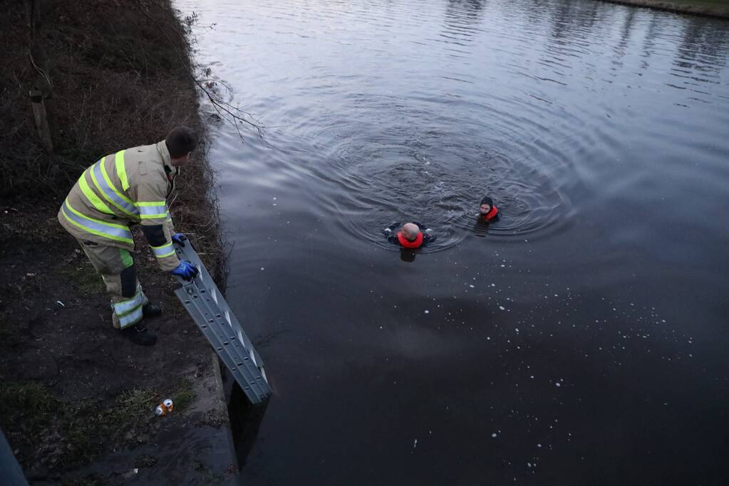 Brandweer redt hond te water