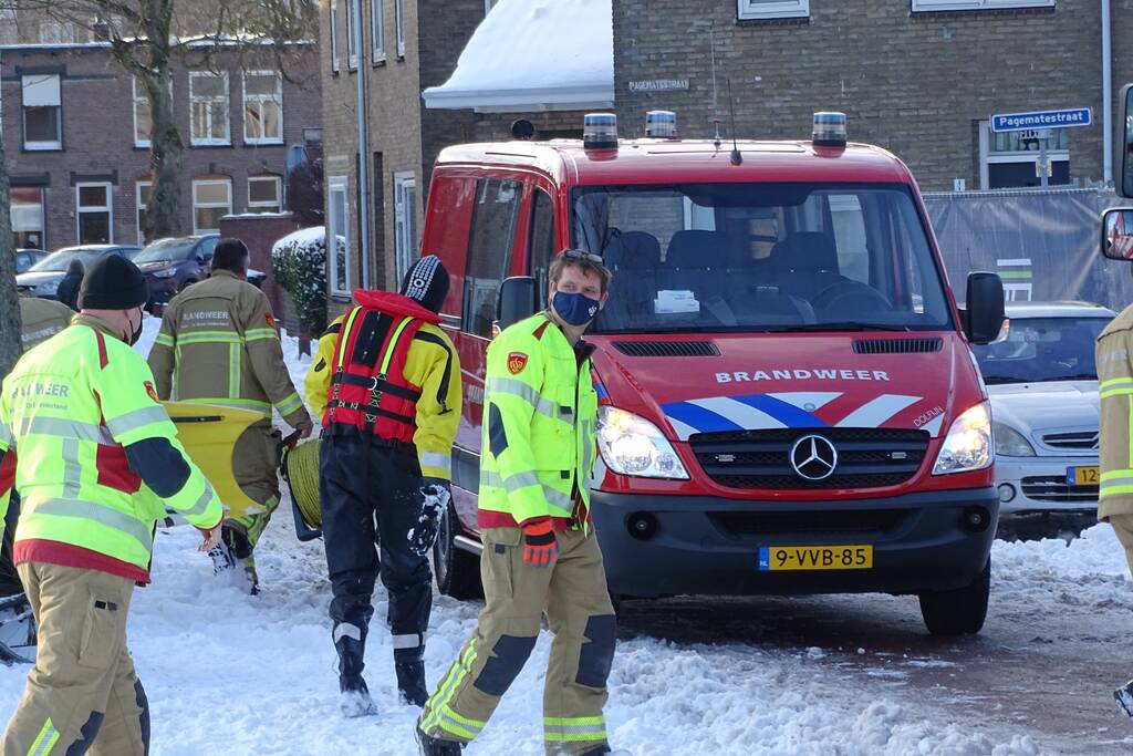 Zwaan vast op ijs