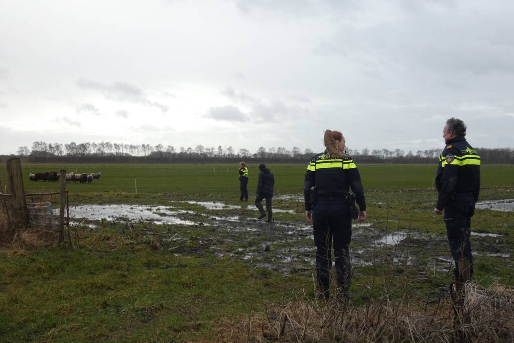 Kudde schapen breken los door omgewaaid hekwerk