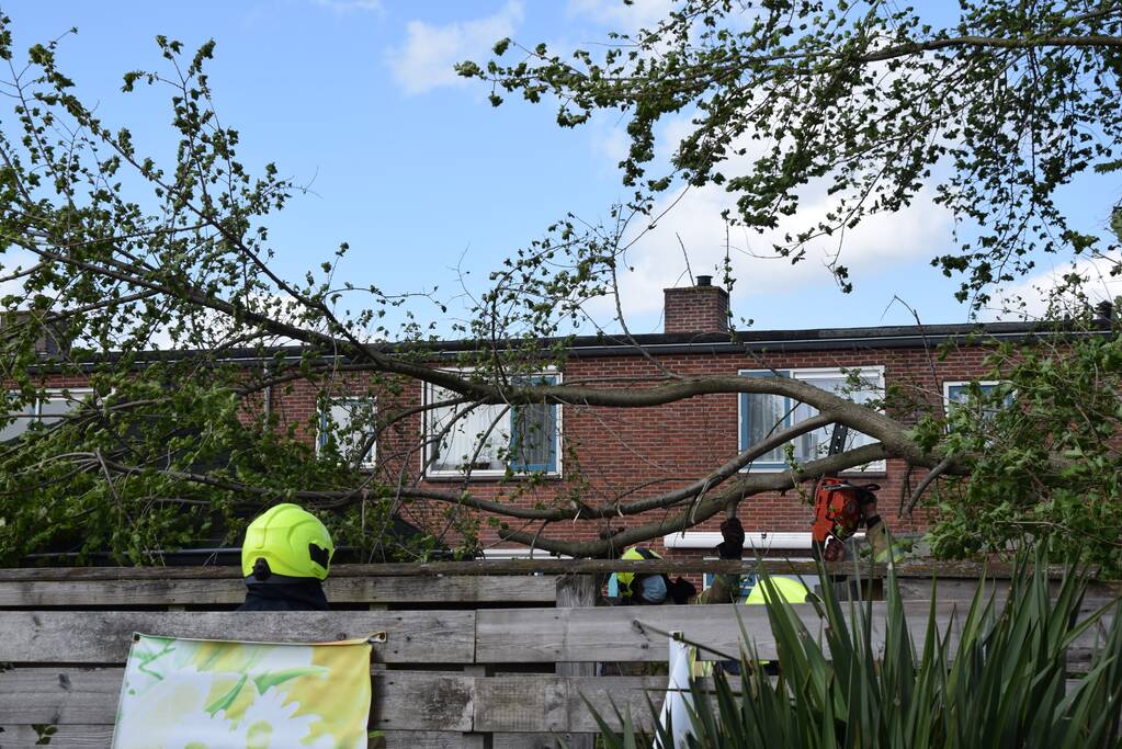 Brandweer zaagt gebroken tak in stukken