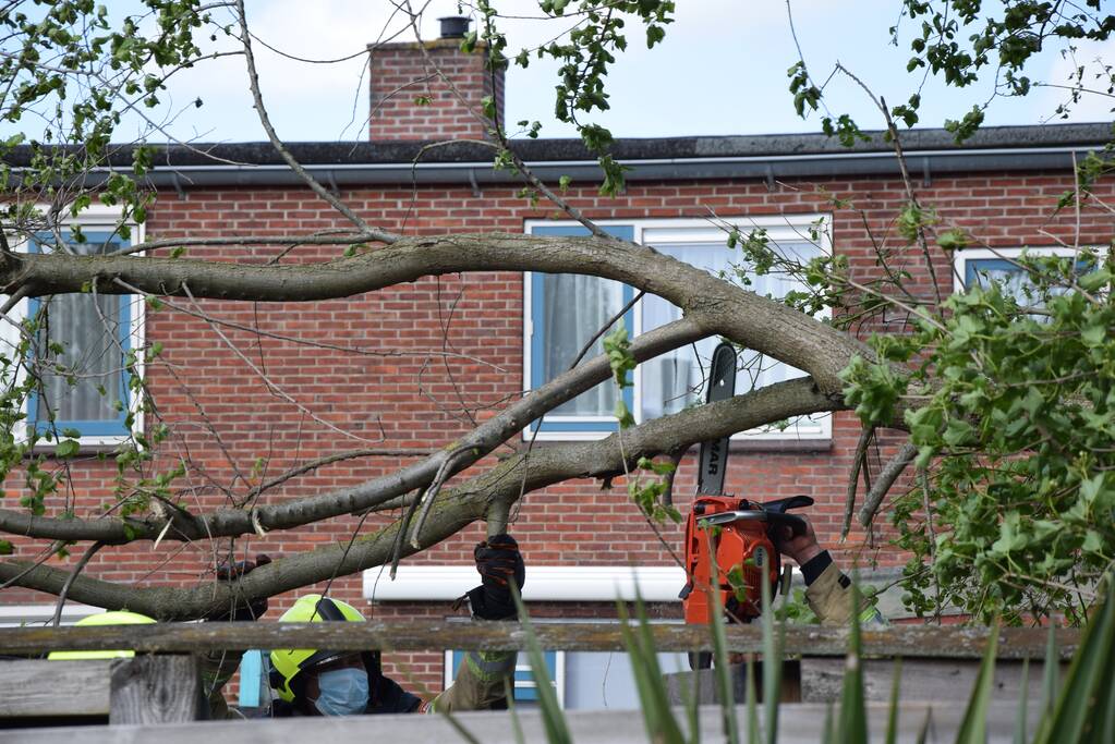 Brandweer zaagt gebroken tak in stukken