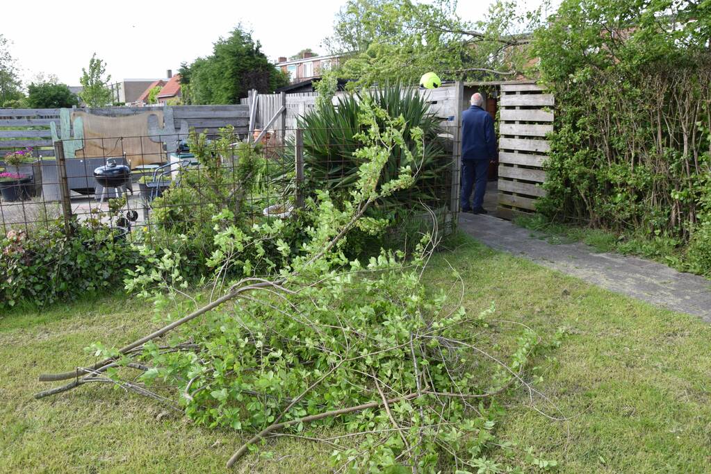 Brandweer zaagt gebroken tak in stukken