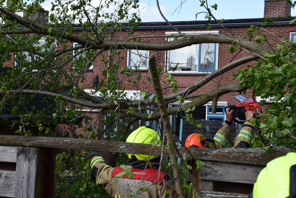 Brandweer zaagt gebroken tak in stukken