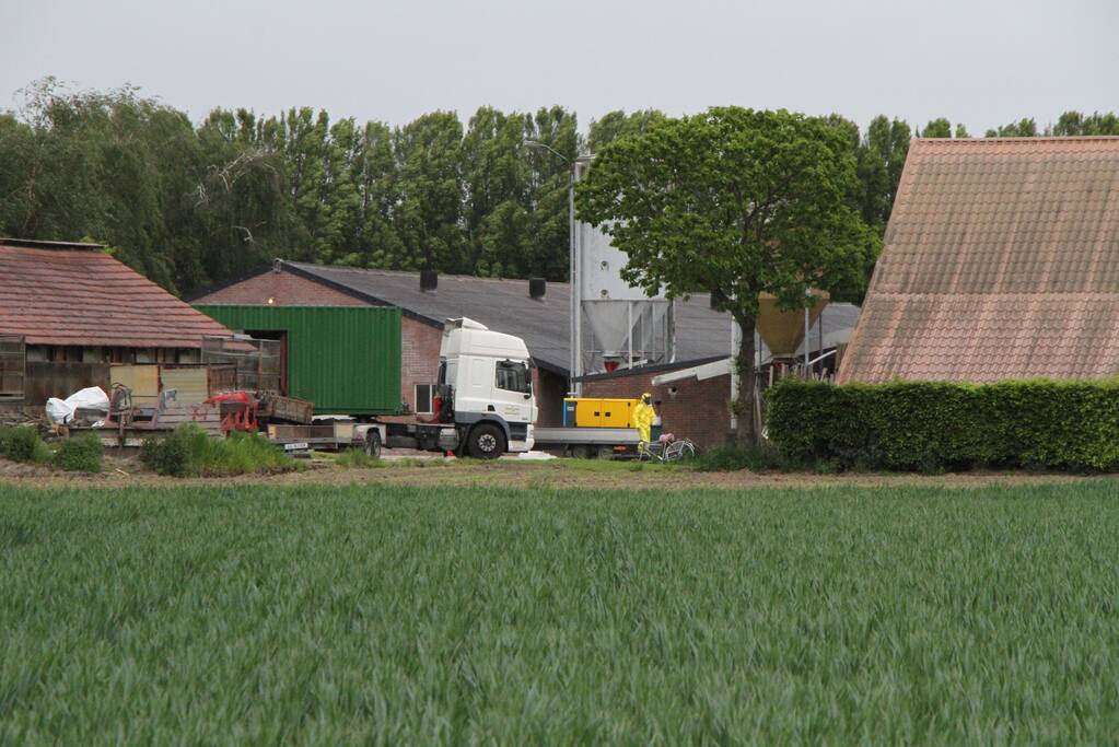 Ruiming na vaststelling vogelgriep