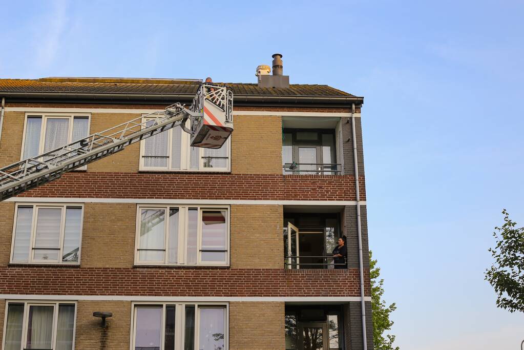 Brandweer haalt duif uit net