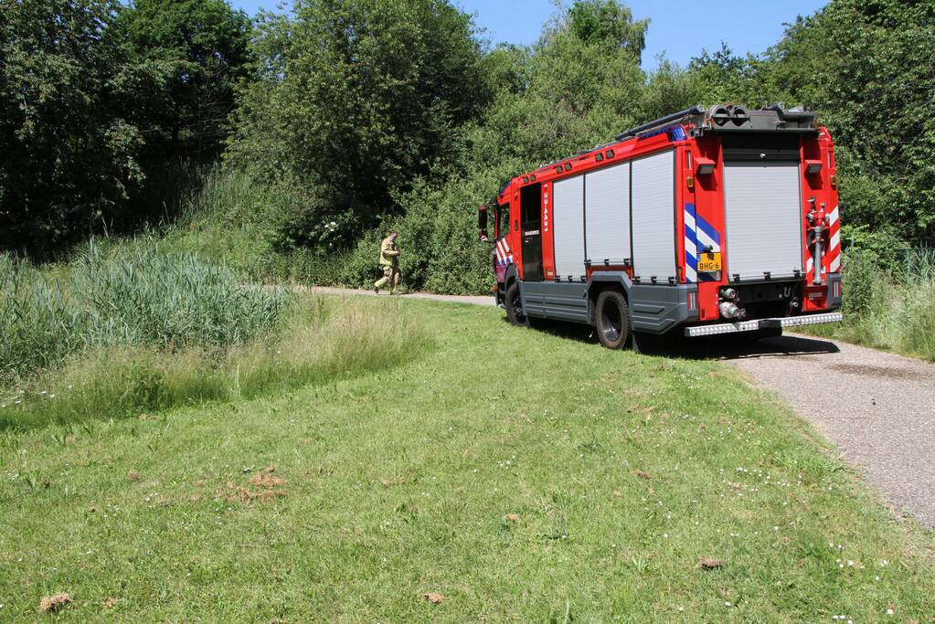 Twee brandhaarden in bosgebied