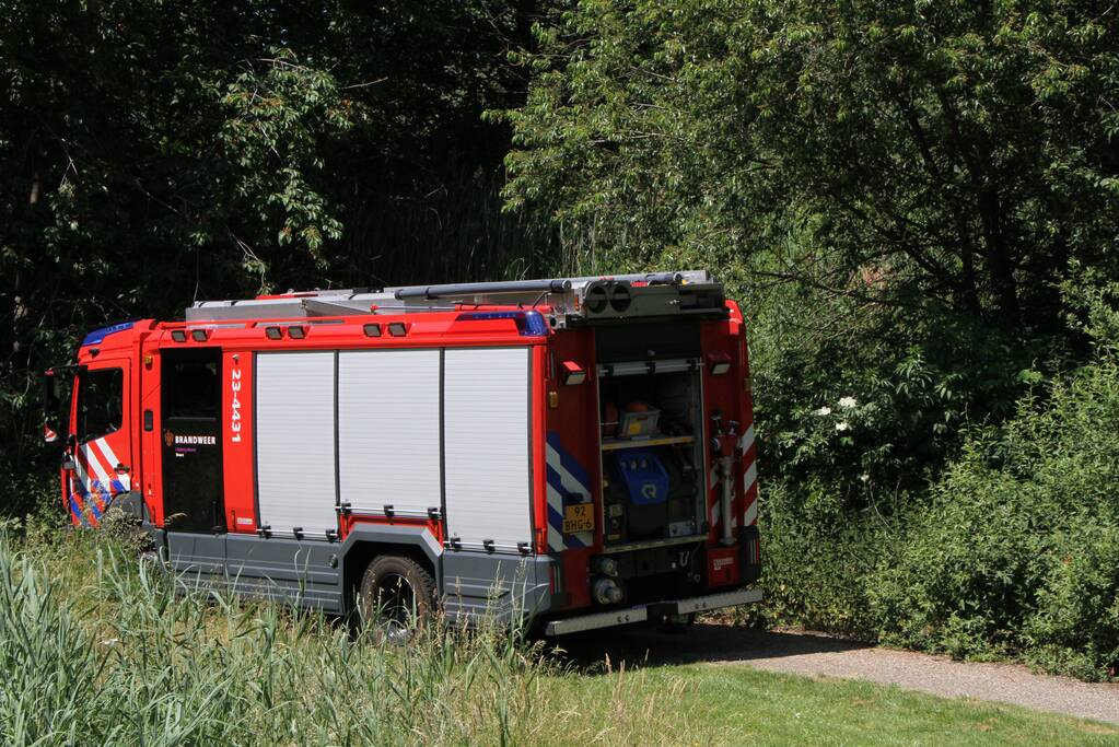 Twee brandhaarden in bosgebied