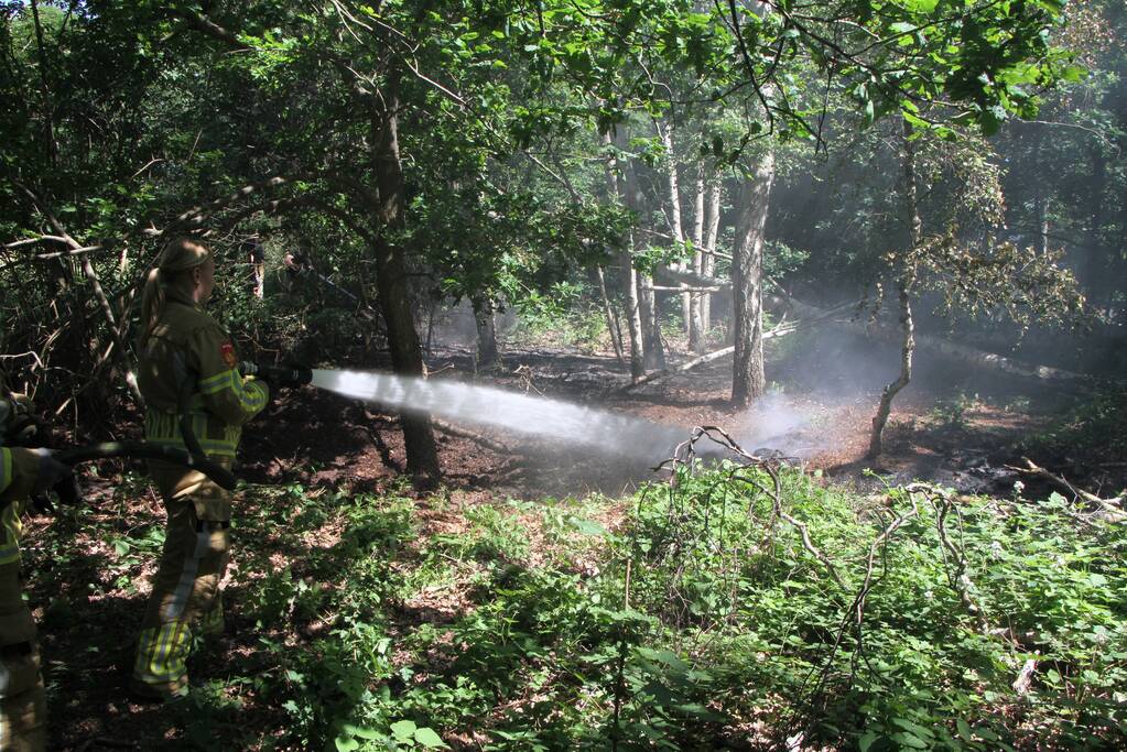 Twee brandhaarden in bosgebied