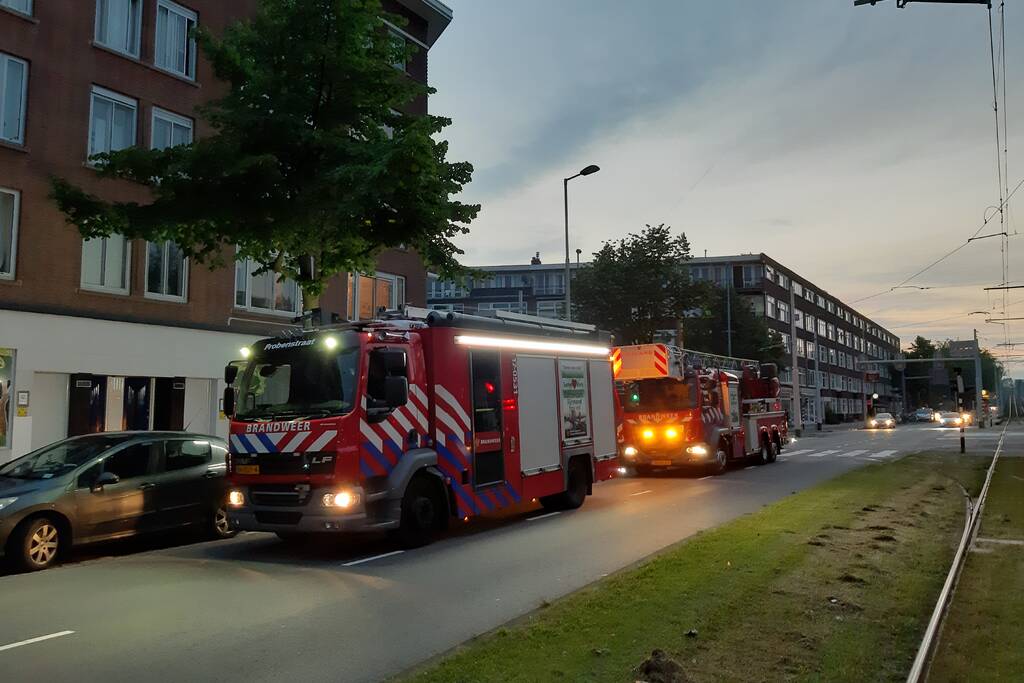 Twee duiven zitten vast in gaas