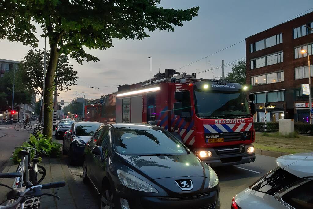 Twee duiven zitten vast in gaas