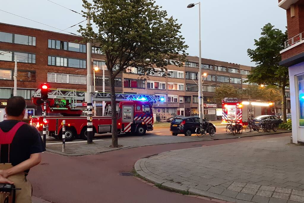 Twee duiven zitten vast in gaas