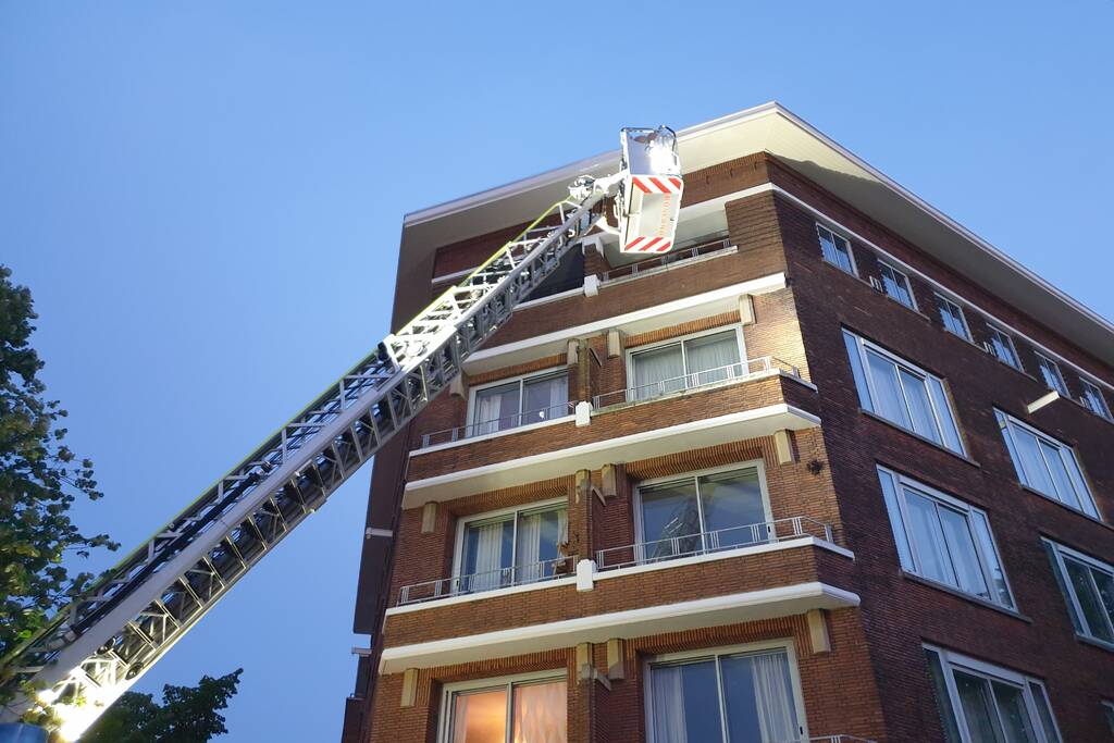 Twee duiven zitten vast in gaas