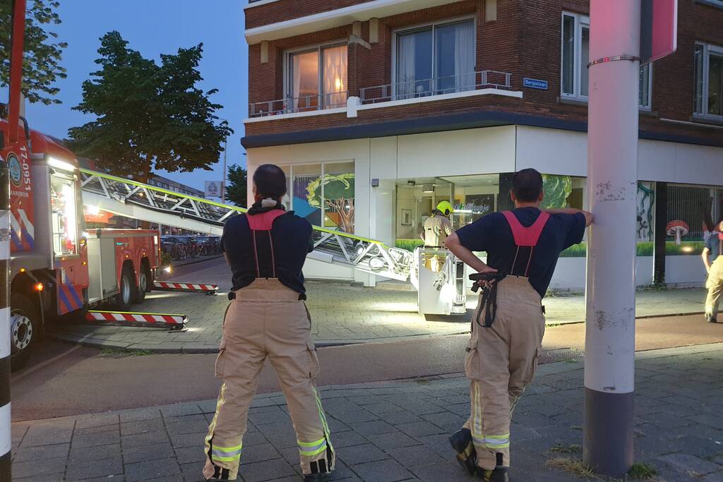 Twee duiven zitten vast in gaas