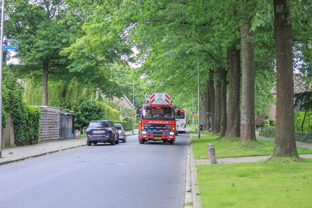 Loshangende tak door brandweer verwijderd