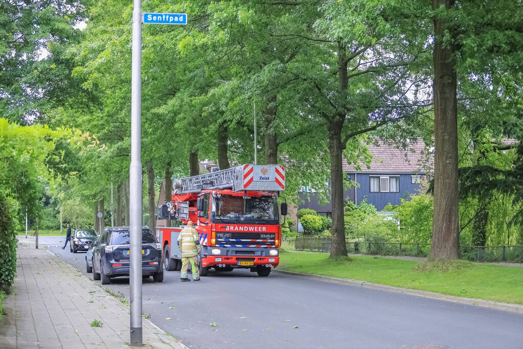 Loshangende tak door brandweer verwijderd