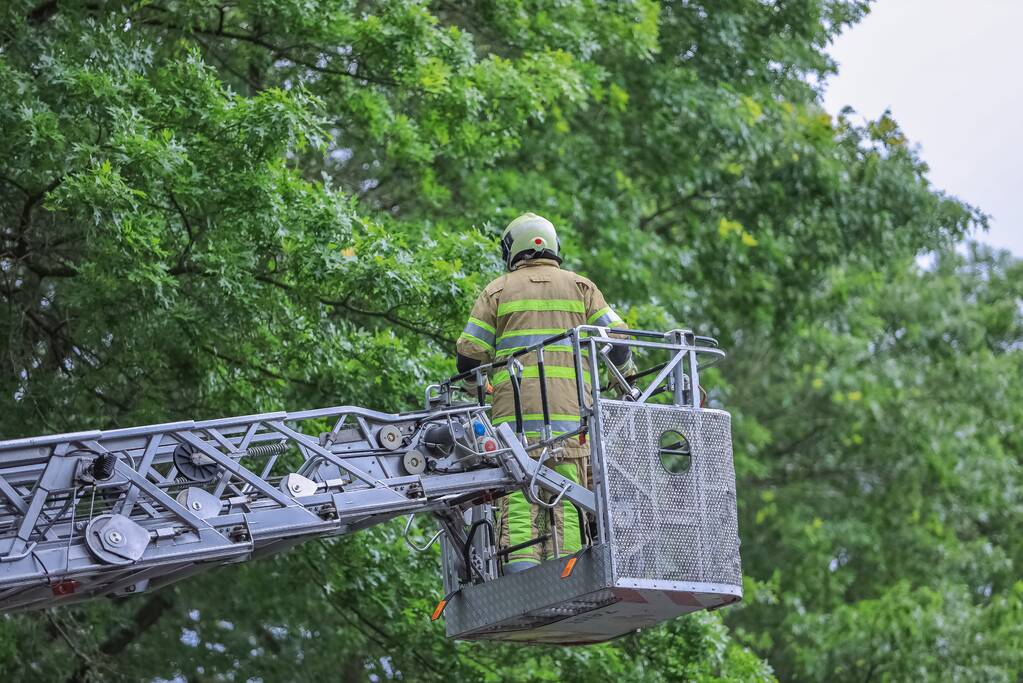 Loshangende tak door brandweer verwijderd