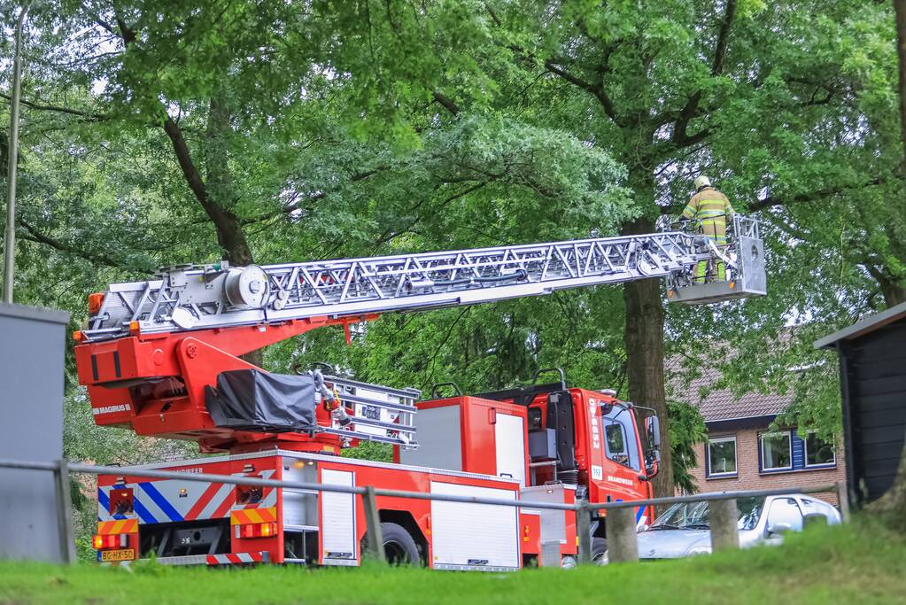 Loshangende tak door brandweer verwijderd