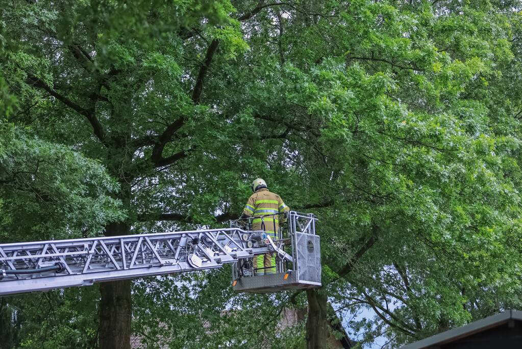 Loshangende tak door brandweer verwijderd