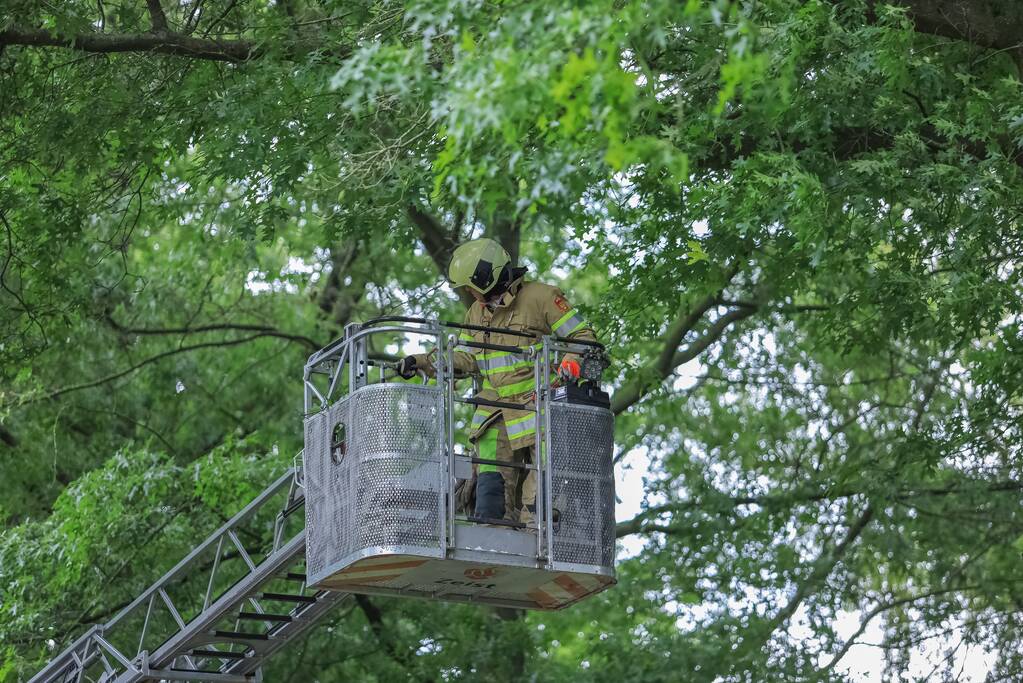 Loshangende tak door brandweer verwijderd