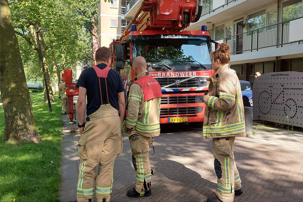 Vogel twee dagen vast in boom