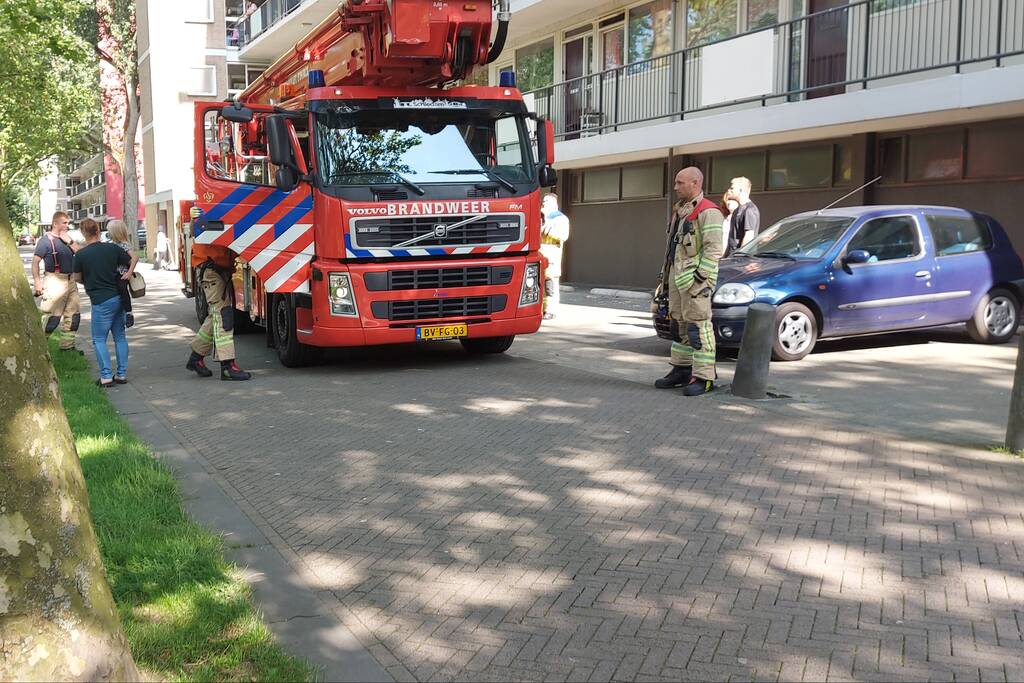 Vogel twee dagen vast in boom