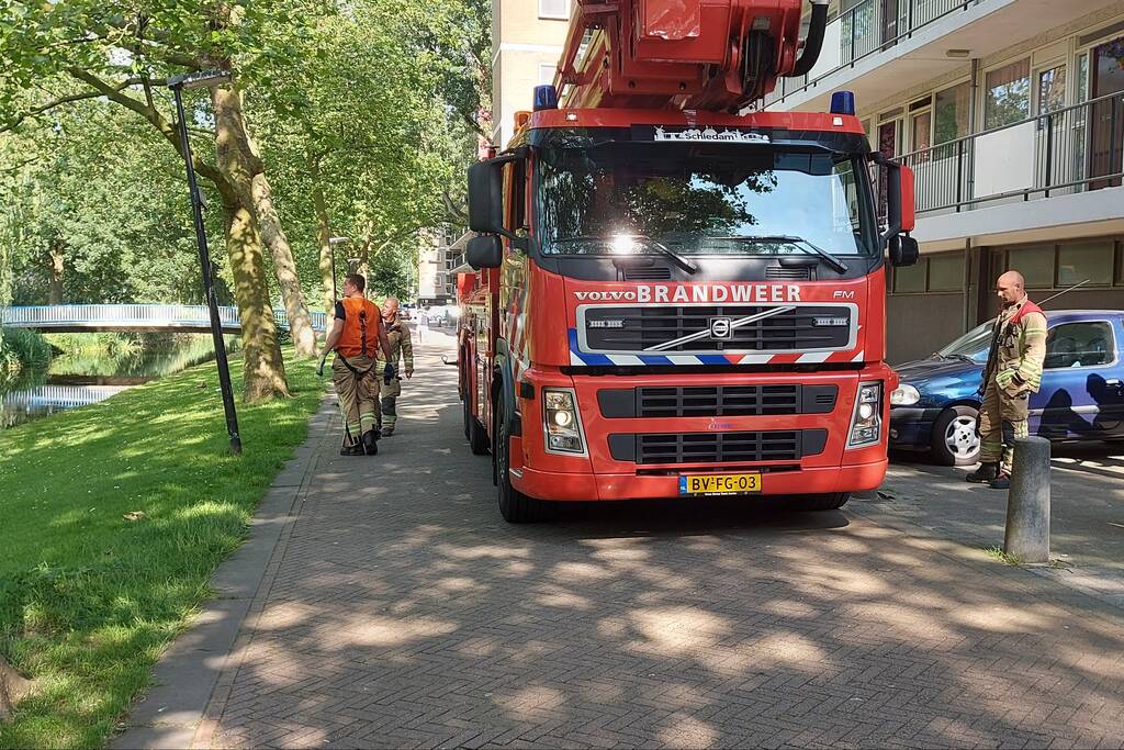 Vogel twee dagen vast in boom