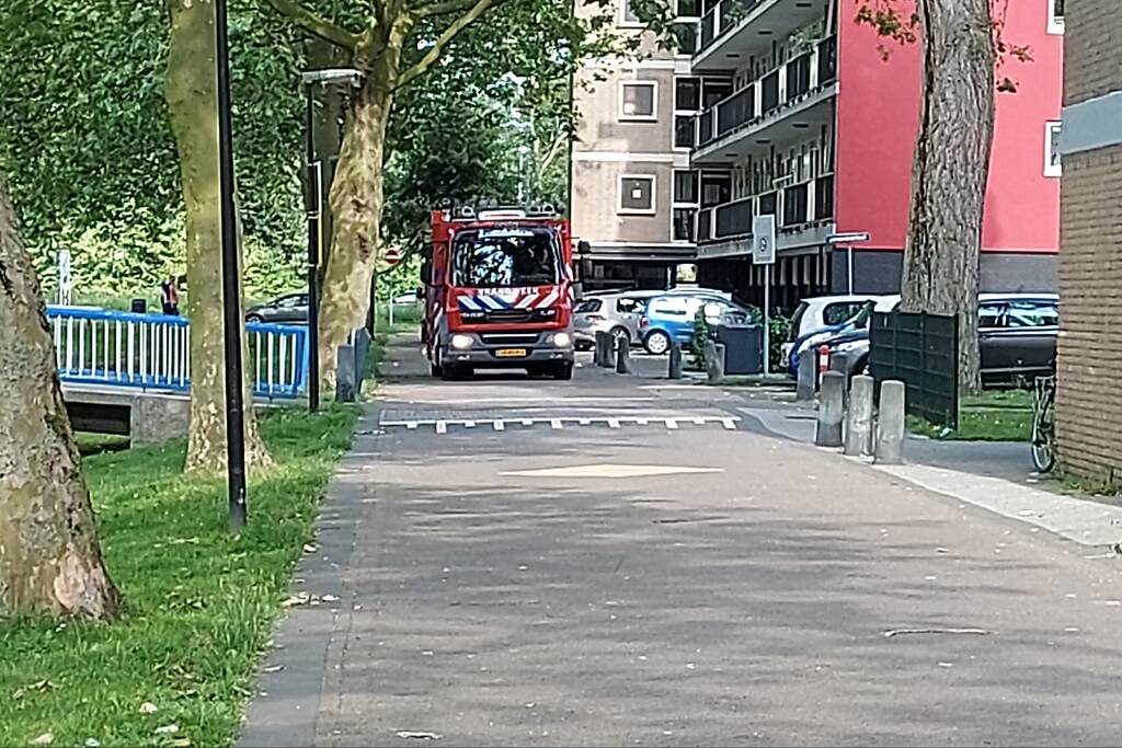 Vogel twee dagen vast in boom