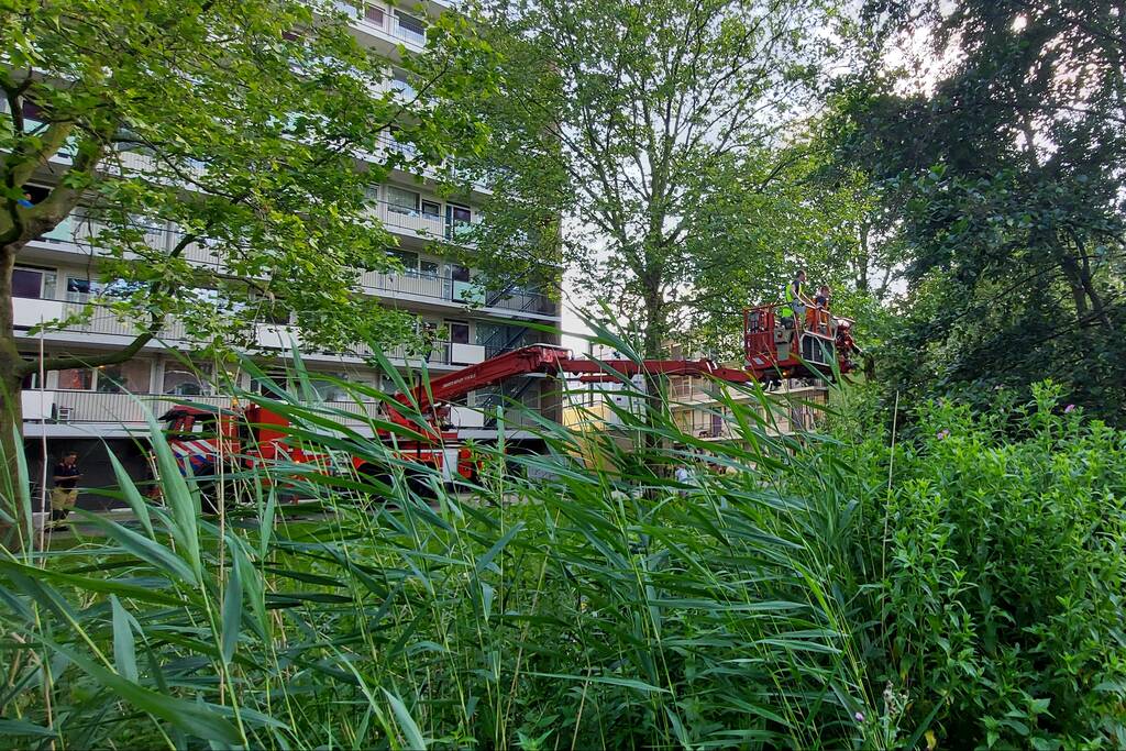 Vogel twee dagen vast in boom