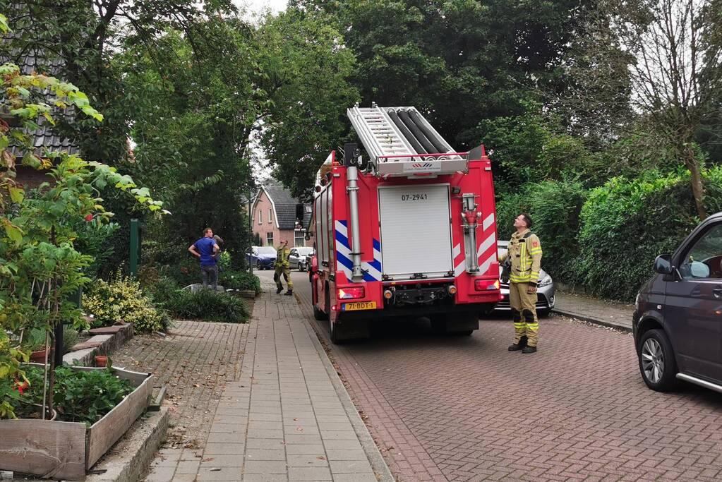 Kat kiest hazepad na reddingsactie brandweer