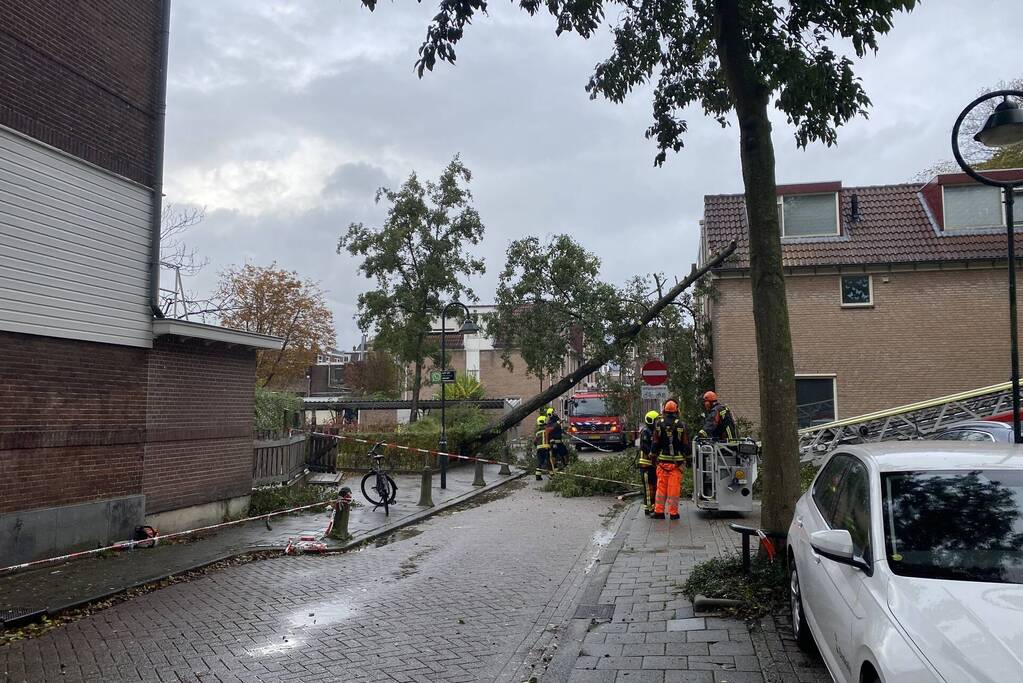 Boom waait om tegen woning aan