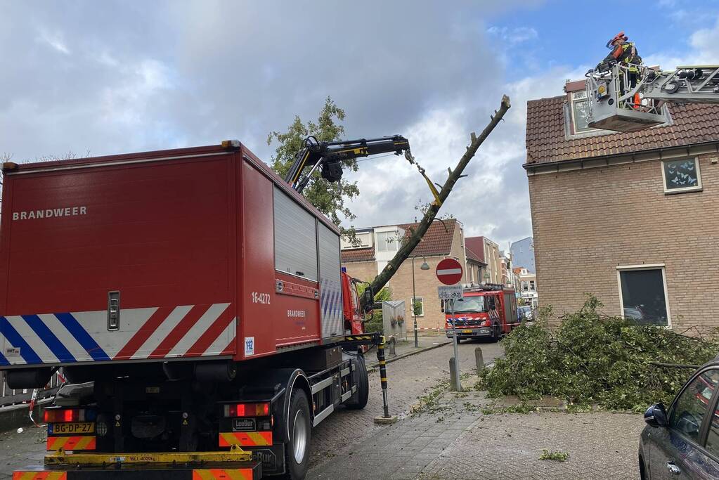 Boom waait om tegen woning aan