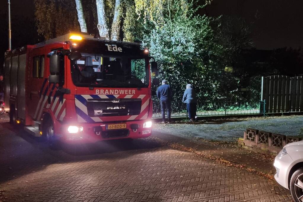 Veel schade aan auto en coniferenhaag na brand