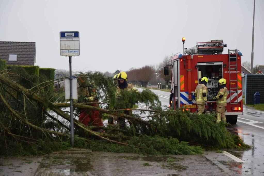 Boom valt op bushokje en fietspad