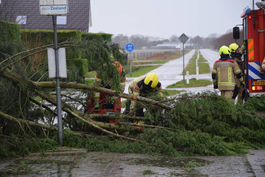 Boom valt op bushokje en fietspad