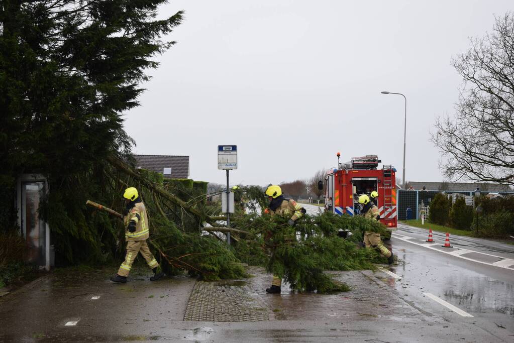 Boom valt op bushokje en fietspad