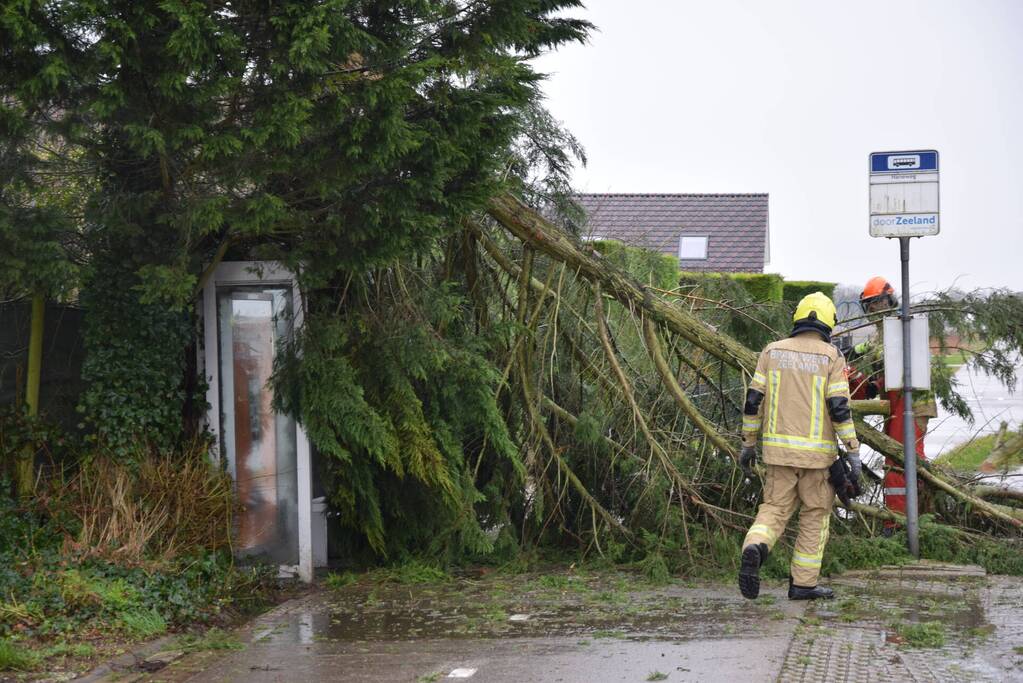 Boom valt op bushokje en fietspad