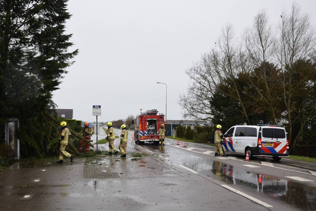 Boom valt op bushokje en fietspad