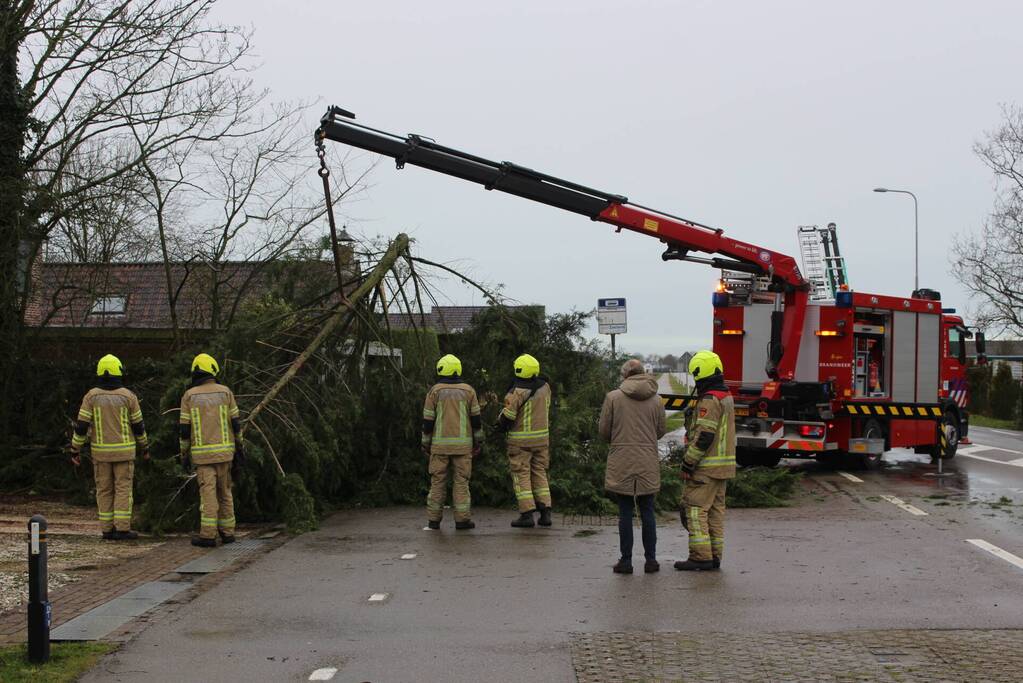 Boom valt op bushokje en fietspad