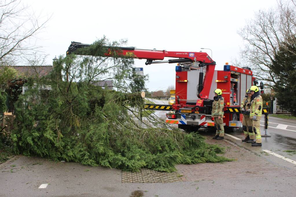 Boom valt op bushokje en fietspad