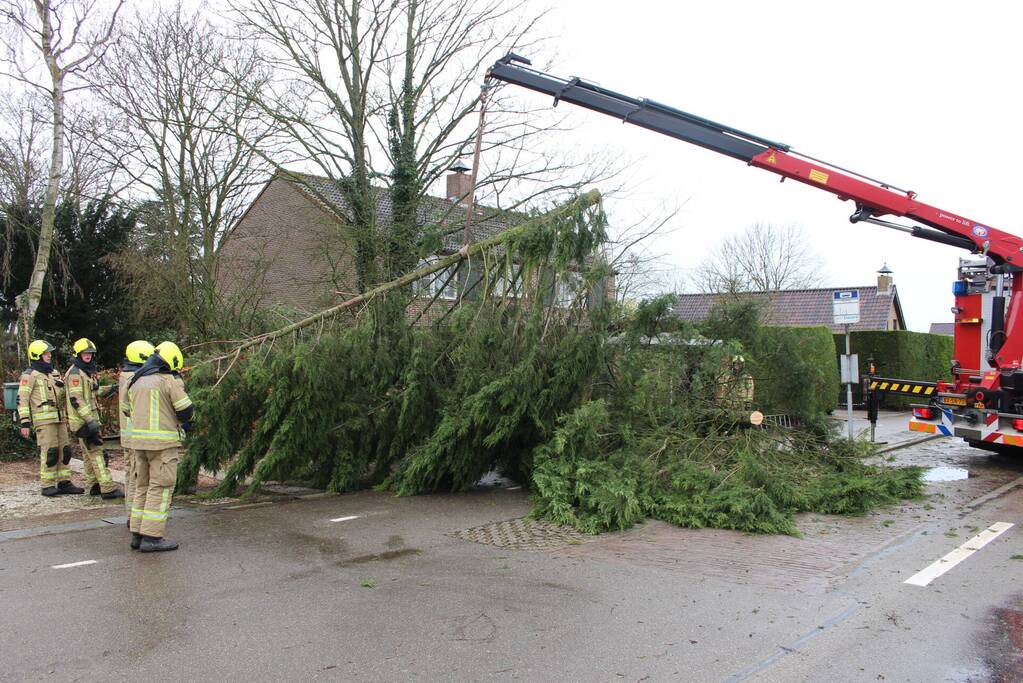 Boom valt op bushokje en fietspad