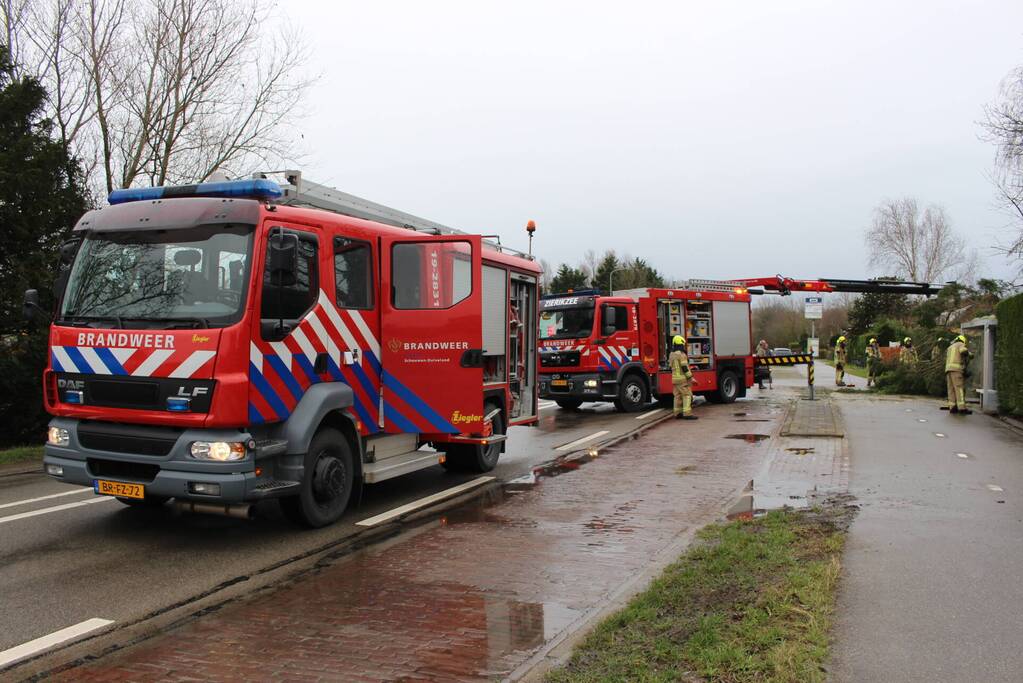 Boom valt op bushokje en fietspad