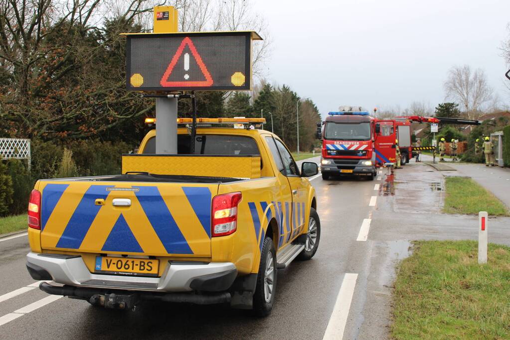 Boom valt op bushokje en fietspad