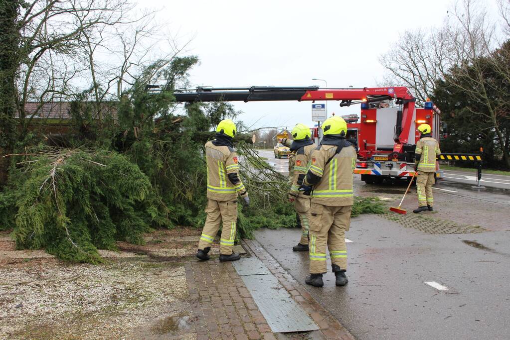 Boom valt op bushokje en fietspad