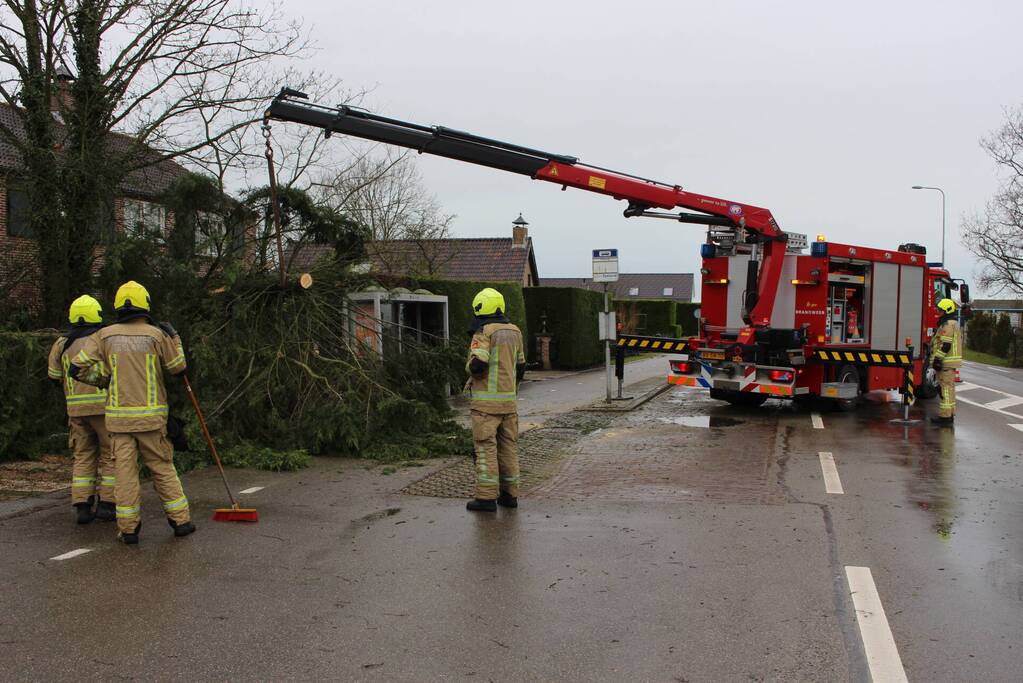 Boom valt op bushokje en fietspad