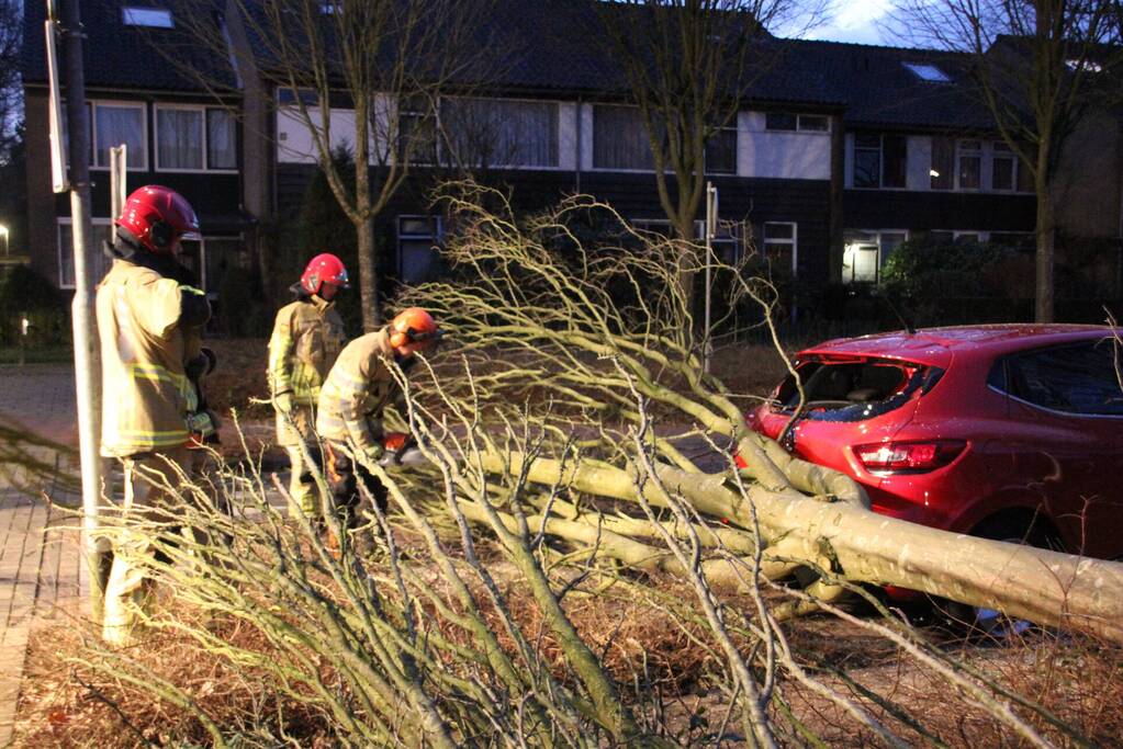 Autoruit gesneuveld door omgewaaide boom storm Dudley