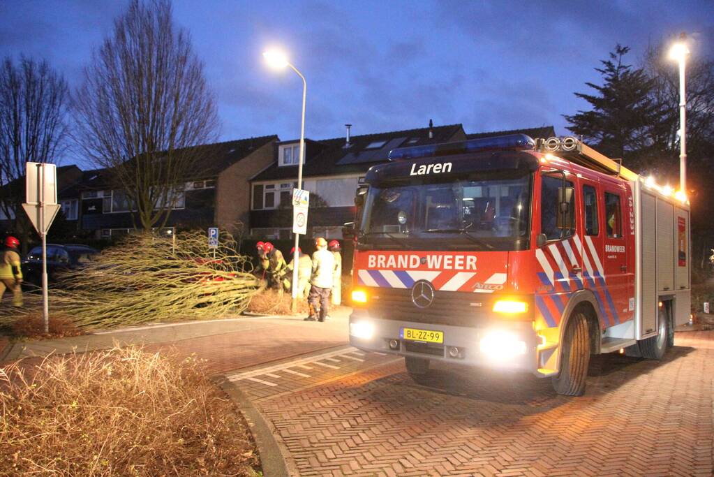 Autoruit gesneuveld door omgewaaide boom storm Dudley