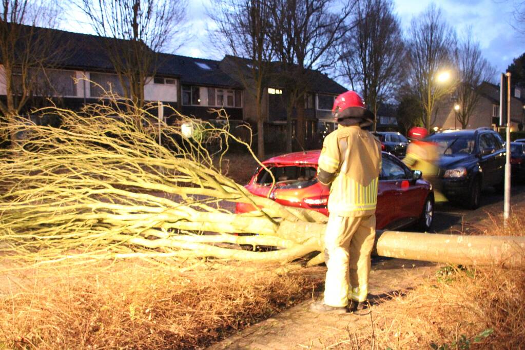 Autoruit gesneuveld door omgewaaide boom storm Dudley