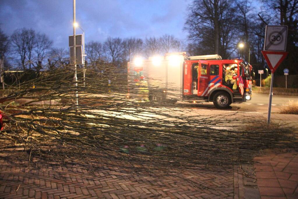 Autoruit gesneuveld door omgewaaide boom storm Dudley